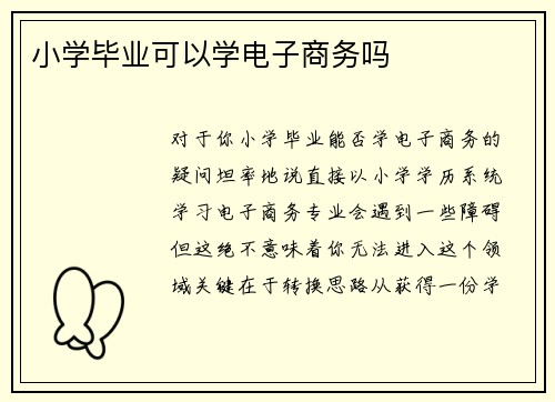 小学毕业可以学电子商务吗